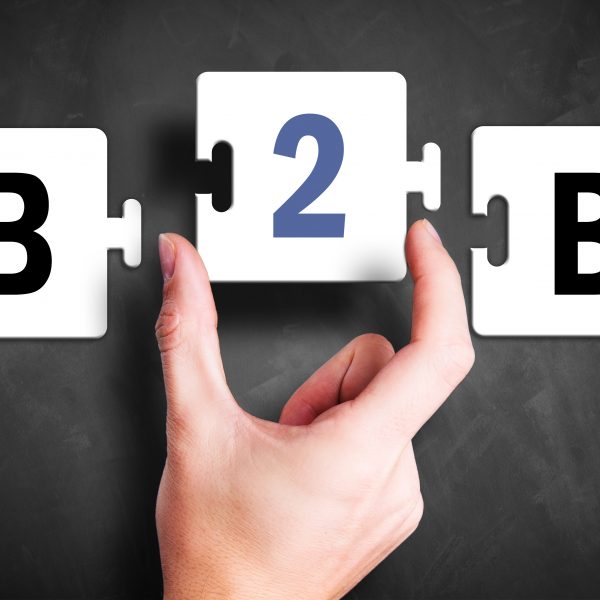 b2b puzzle composto da una mano